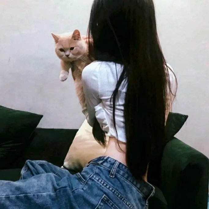 龙门村的故事